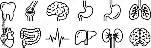 Human organ icon set, black and white anatomy symbols, medical vector illustration, internal body parts clipart, healthcare infographic design