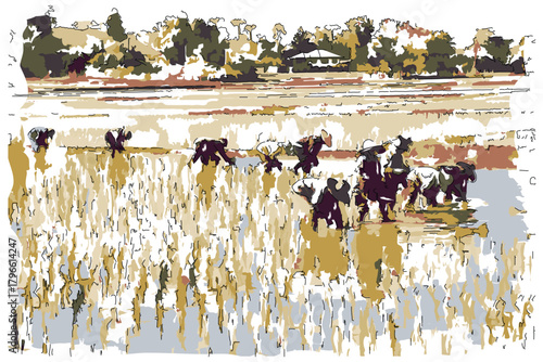 Sketch-style impressionnist painting,Group of farmers planting rice in the paddy field,Digital illustration vector image