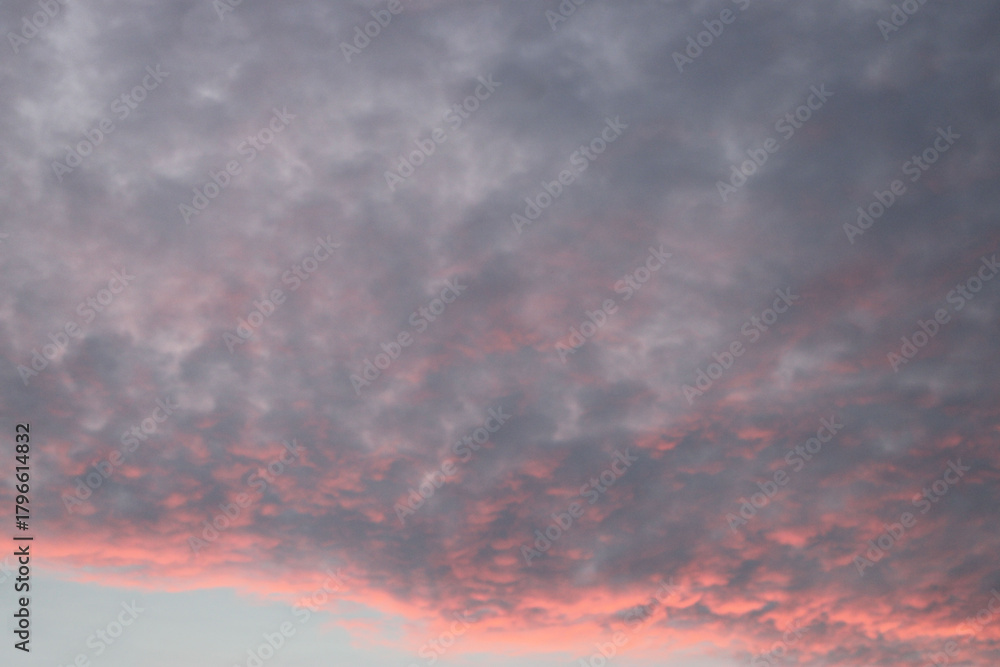 Fototapeta premium clouds in the sky