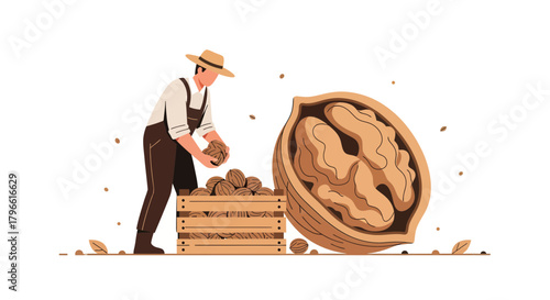 Harvesting Walnuts: A Farmer's Labor of Love and Nutrient-Rich Gathering