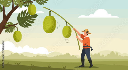 Harvesting Fruits: A Simple Depiction of Farmer Picking Jackfruits with Bamboo