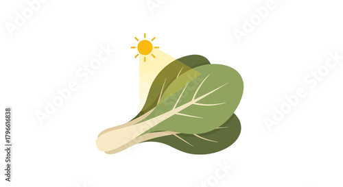Healthy And Fresh Vegetable Illuminated By The Sunlight Against A Black Background