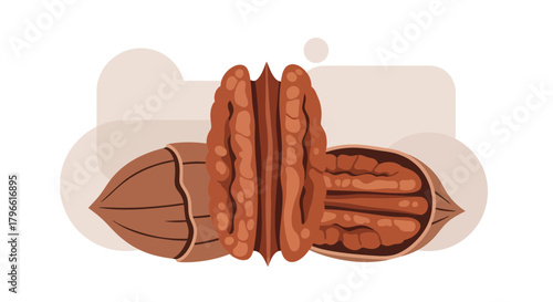 Healthy And Nutritious Pecans Presented In A Unique And Appealing Vector Illustration