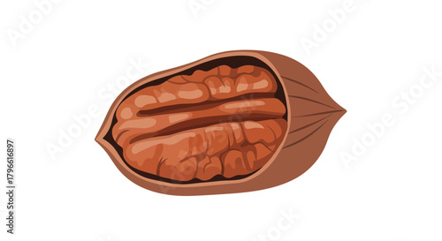 Healthy And Nutritious Pecan Nut, Displayed Inside its Shell on White