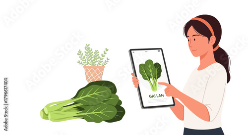 Healthy Lifestyle Choice: Gai Lan Vegetable Identification Using Digital Tablet Icon