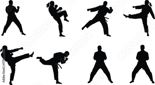 Martial arts silhouettes with fighters, karate, taekwondo, kicking, punching, combat stances, training illustration, sports lifestyle, discipline design, self defense, flat vector