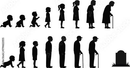 Human life cycle stages silhouette, male and female growth development timeline, birth to death evolution, aging process illustration, flat vector