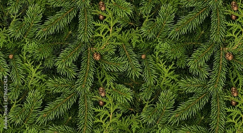 A dense and vibrant seamless pattern featuring various types of evergreen foliage, creating a lush and natural texture.