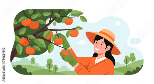 Illustration Of A Woman Harvesting Ripe Oranges from A Tree On A Sunny Day
