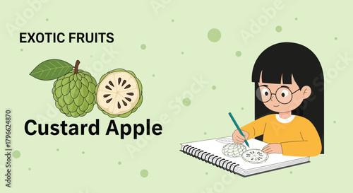 Illustration Of Custard Apple Fruit And Girl Drawing In Sketchbook Design