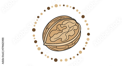 Illustration Of A Nut, Natural Food, Edible, Healthy Diet, Fresh, Plant Organic Shape