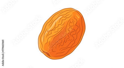 Isolated Drawn Apricot Fruit Illustration On A Black Background For Visual Communications