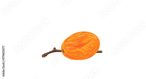 Isolated Dried Apricot On Branch Against Abstract Black Backdrop For Various Uses