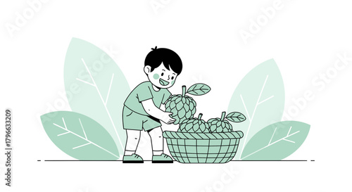 Joyful Boy Harvesting Freshly Grown Custard Apples into Wicker Basket Illustration