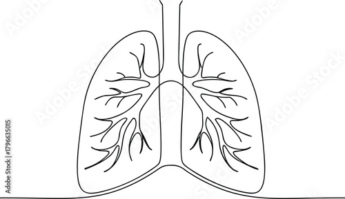 Black outline of human lungs on white background anatomy