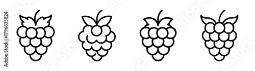 Four black outline raspberries simple line art style isolated fruit graphics