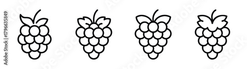 Row of four outline raspberries fruit icons simple design element for food and agriculture themes