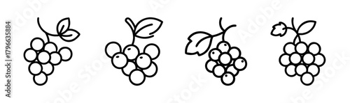 Four hand-drawn grapes clusters with leaves stylized fruit designs simple organic produce elements
