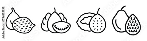 Assortment of line art exotic fruits including salak snake fruit pear and fig
