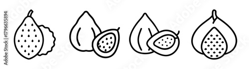 Exotic fruits collection snake fruit salak and papaya line art icons fresh tropical produce