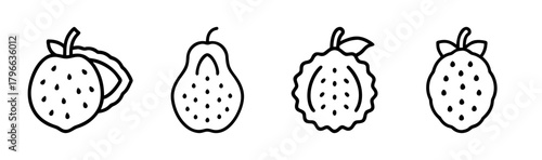 Collection of four stylized tropical fruits with seeds and stems line art