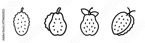 Set of four hand-drawn tropical fruits with spiky texture and seeds