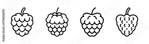 Four stylized outline sugar apples isolated graphics representing tropical fruit