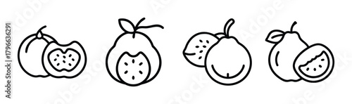 Simple line art icons of white sapote fruits whole and halved for healthy eating