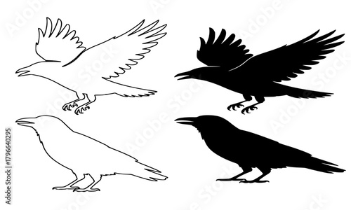 Flying and Standing Crow or Raven Icon Set, Black Bird Silhouette and Outline Vector Illustration for Mythology, Nature, and Halloween