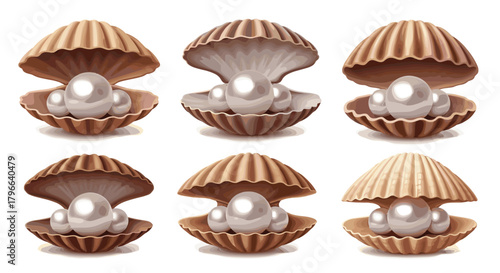 Lustrous pearls nestled within delicate shells, a symbol of elegance and timeless beauty for your luxury designs