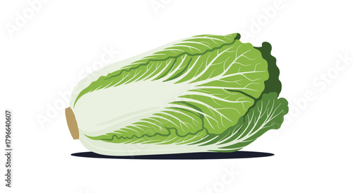 A pixel art illustration of a fresh head of napa cabbage.