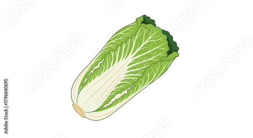 A close up pixel art illustration of a crisp green napa cabbage on a white background.