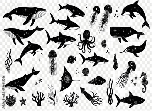 Sea creature celestial silhouette collection