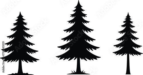 Silhouette pine trees, black forest illustration, evergreen tree shapes, nature clipart, woodland graphic, winter design, vector tree set