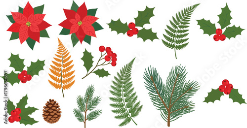 Poinsettia flower, holly leaves, pine branches, red berries, golden fern, evergreen sprigs, festive foliage, winter decor, flat vector illustration