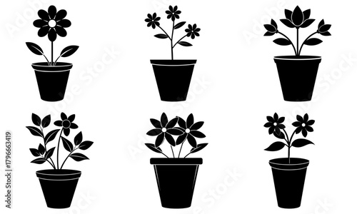 Six black flower pots with various floral arrangements in a simple graphic illustration style art