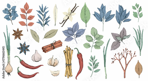 Hand drawn collection of cooking herbs, spices, vegetables, and seasonings isolated on white background