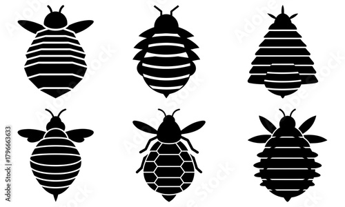 Six stylized black insects with segmented bodies and antennae arranged symmetrically on white background