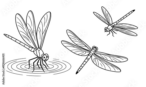 Dragonfly Insect Line Art Set, Damselfly Hovering, Landing on Water, and Flying, Summer Nature and Pond Life Outline Vector Illustration