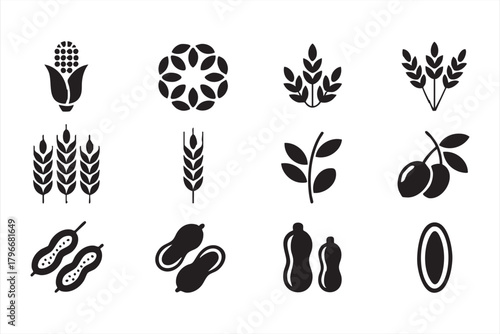 Grain and seed icon collection for natural product branding and agricultural design