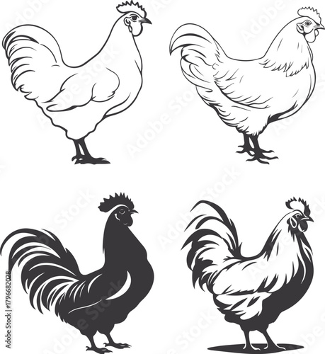 set of chicken
