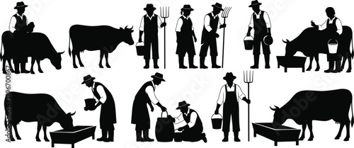 Farmer, cow, cattle, dairy, livestock, agriculture, rural, village, pasture, countryside, feeding, milking, bucket, trough, worker, silhouette, farming, traditional, animal, care, teamwork