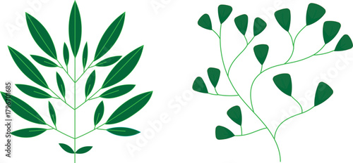 Green floral vector background pattern of natural leaf and plant illustrations for spring and summer design