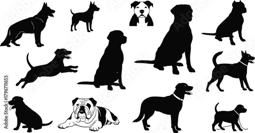 Dog breed silhouettes collection, various canine types and sizes, sitting running and standing poses, pet animal illustration, black and white vector set for dog lovers.
