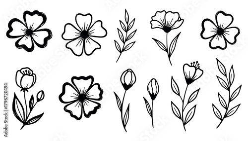 Collection of handdrawn floral elements and botanical illustrations