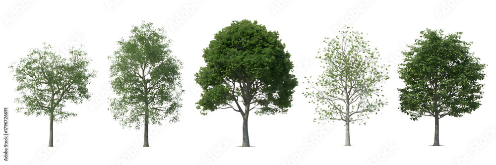 Obraz premium Collection of five deciduous trees with green foliage isolated on transparent background