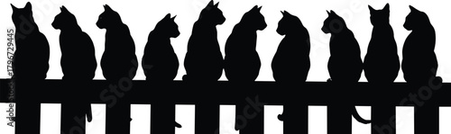 Flat vector silhouette of eleven cats sitting on wooden fence, symmetrical feline lineup, pet animal design for decoration, isolated