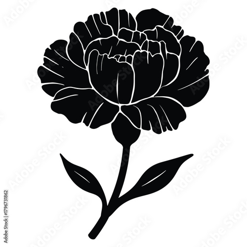 A simple black and white illustration of a single carnation flower