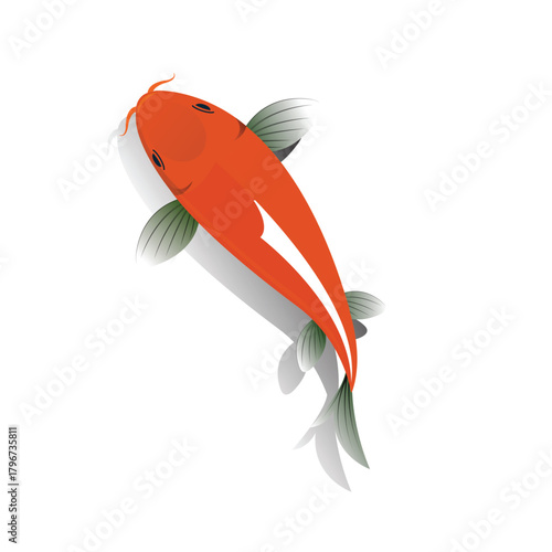 Hand drawn koi fish vector. Koi carp line art illustration