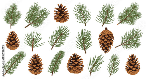 Collection of pine cones and green pine branches on a white background.